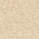 Pampas Plain Brushed Texture Warm Beige wallpaper roll and room scene