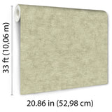Pampas Plain Brushed Texture Misty Green by Veer Decor Textured Wallpaper – Veer Decor 8250-AA6