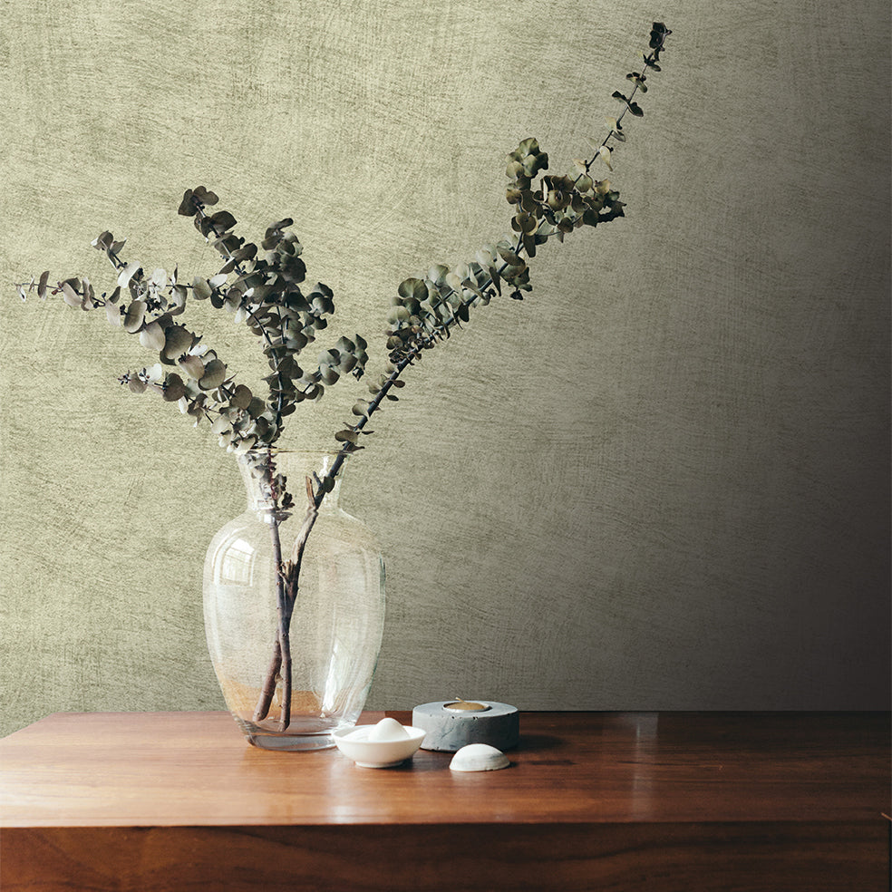 Pampas Plain Brushed Texture Misty Green by Veer Decor Textured Wallpaper – Veer Decor 8250-AA6