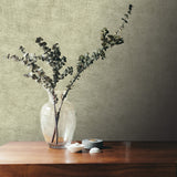 Pampas Plain Brushed Texture Misty Green by Veer Decor Textured Wallpaper – Veer Decor 8250-AA6