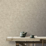 Pampas Plain Brushed Texture Taupe by Veer Decor Textured Wallpaper – 8250-AA7