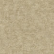 Pampas Plain Brushed Texture Olive Grey Wallpaper roll and room scene