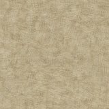 Pampas Plain Brushed Texture Olive Grey Wallpaper roll and room scene