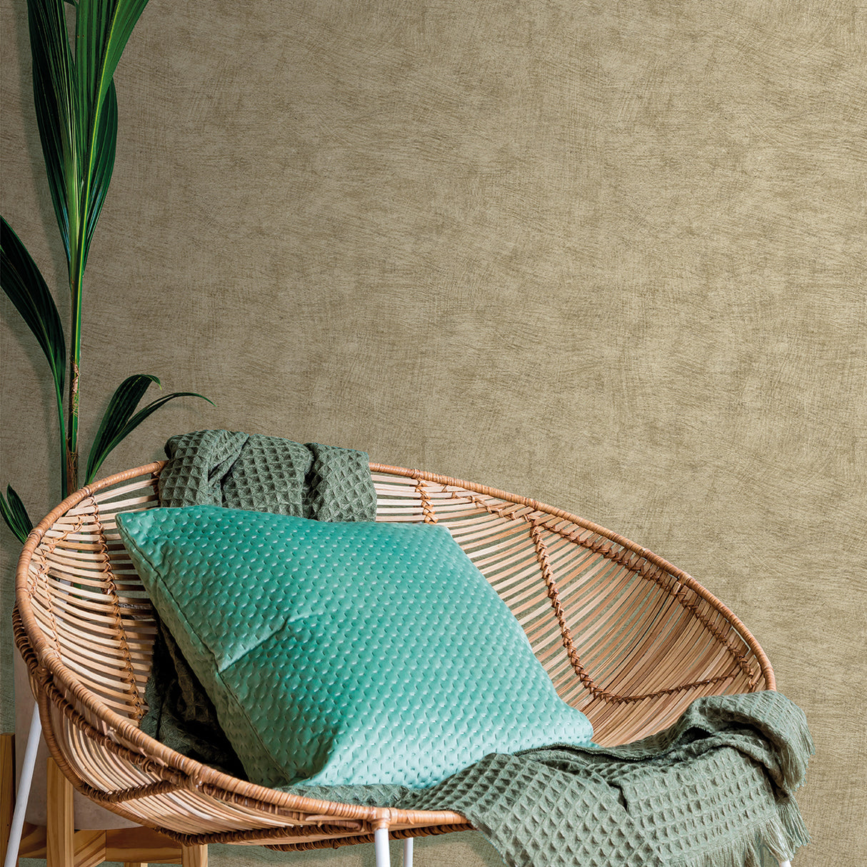 Pampas Plain Brushed Texture Olive Grey by Veer Decor Textured Wallpaper – Veer Decor 8250-AA8
