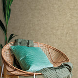 Pampas Plain Brushed Texture Olive Grey by Veer Decor Textured Wallpaper – Veer Decor 8250-AA8