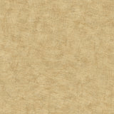 Pampas Plain Brushed Texture Honey Mustard wallpaper roll and room view