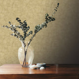 Pampas Plain Brushed Texture Honey Mustard by Veer Decor Textured Wallpaper – 8250-AA9