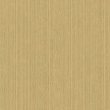 Rope Plain Texture Gold Sand non-woven textured wallpaper roll 20.86 in x 33 ft