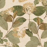 Castanum Bloom Cream Green floral non-woven wallpaper roll and room scene
