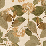 Castanum Bloom Apricot Orange floral botanical wallpaper roll and room scene