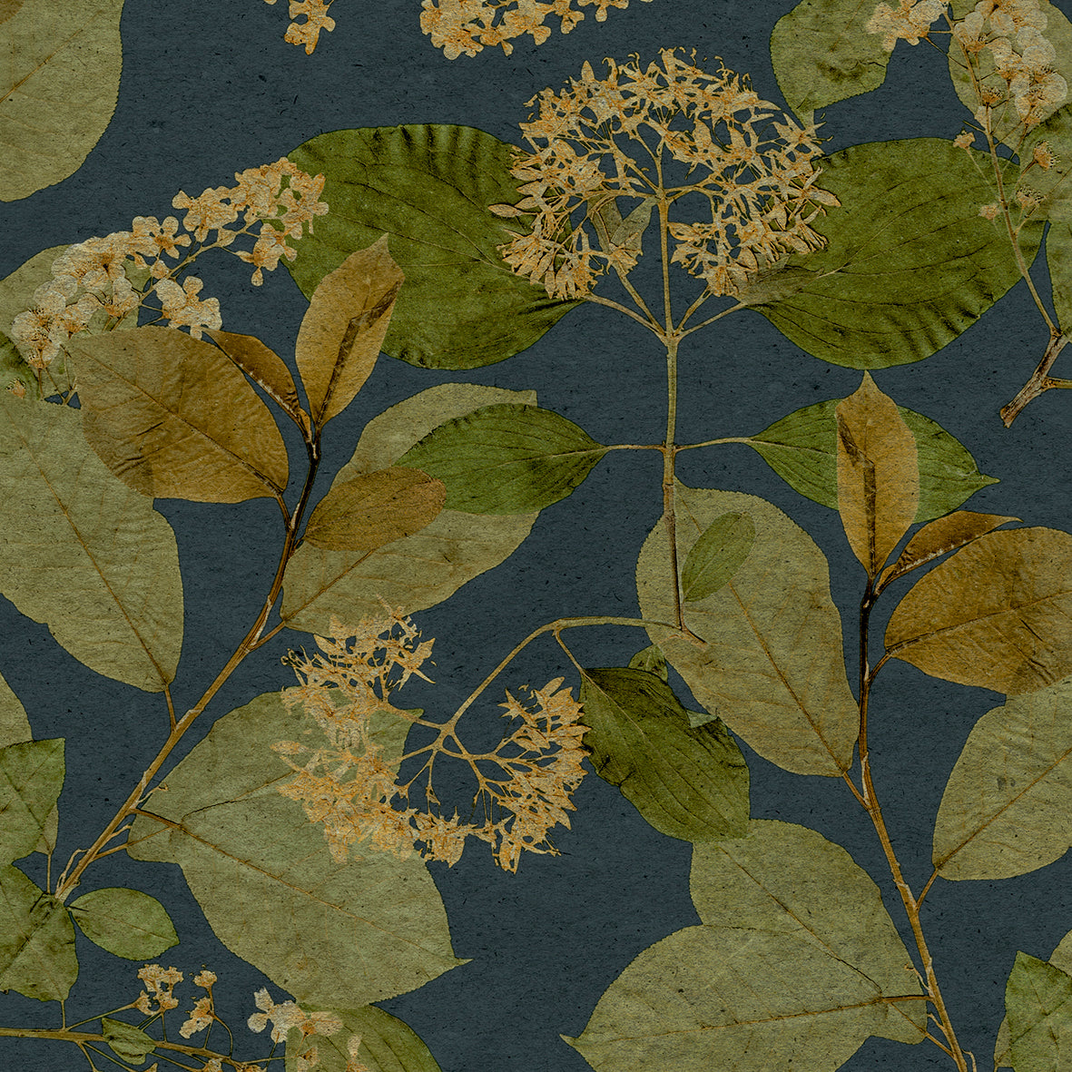 Castanum Bloom Midnight Blue floral wallpaper roll and room scene