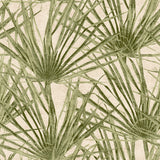 Palm Turtle Green tropical palm frond non-woven wallpaper roll 20.86 in x 33 ft