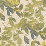 Beech Leaves Golden Green wallpaper roll showing layered leaf motif in green and blue tones