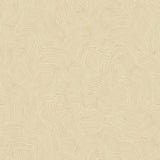 Bahia Dunes Beige abstract non-woven wallpaper roll and pattern close-ups
