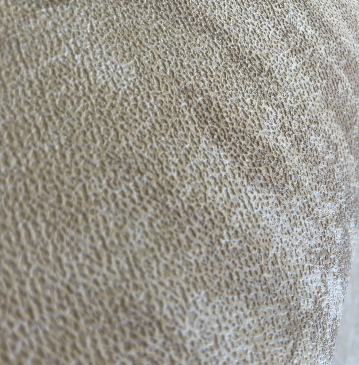 Fern Horizon Beige by  Botanical Wallpaper – Veer Decor 8252-AE2