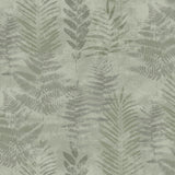 Fern Horizon Green textured botanical fern wallpaper roll 20.86 in x 33 ft