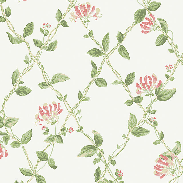 Ivory wallpaper with honeysuckle blossoms and green leaves in a trellis pattern by Boråstapeter for Schumacher.