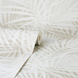 Frida Neutral by Fine Decor Textured Palm Wallpaper – Brewster Home Fashions FD43788