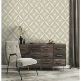 Denver Neutral by Fine Decor Starburst Vinyl Wallpaper – Brewster Home Fashions FD43749