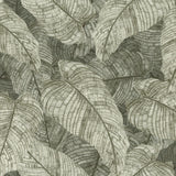 Rasch Galner Moss Leaves Wallpaper RH720549 roll and pattern in moss green