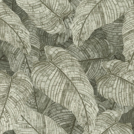 Rasch Galner Moss Leaves Wallpaper RH720549 roll and pattern in moss green