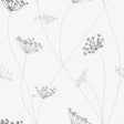 Queen Anne white floral wallpaper by Boråstapeter for Schumacher, delicate wildflower pattern on non-woven material