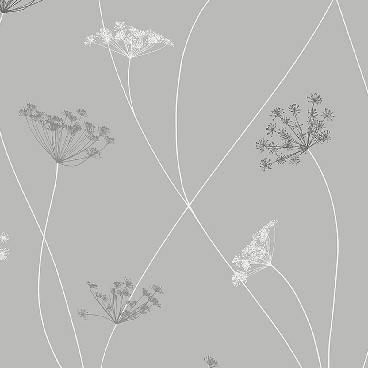 Queen Anne grey wallpaper by Boråstapeter for Schumacher, featuring delicate Queen Anne's lace wildflowers on a soft grey background.