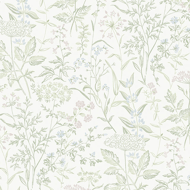 Delicate Dance wallpaper in Leaf by Boråstapeter for Schumacher, featuring Queen Anne's lace and wildflowers in a soft botanical design.