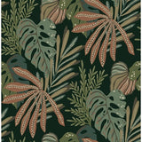 A-Street Prints Alocasia Multicolor Tropical Foliage Wallpaper roll, 20.5 in x 33 ft