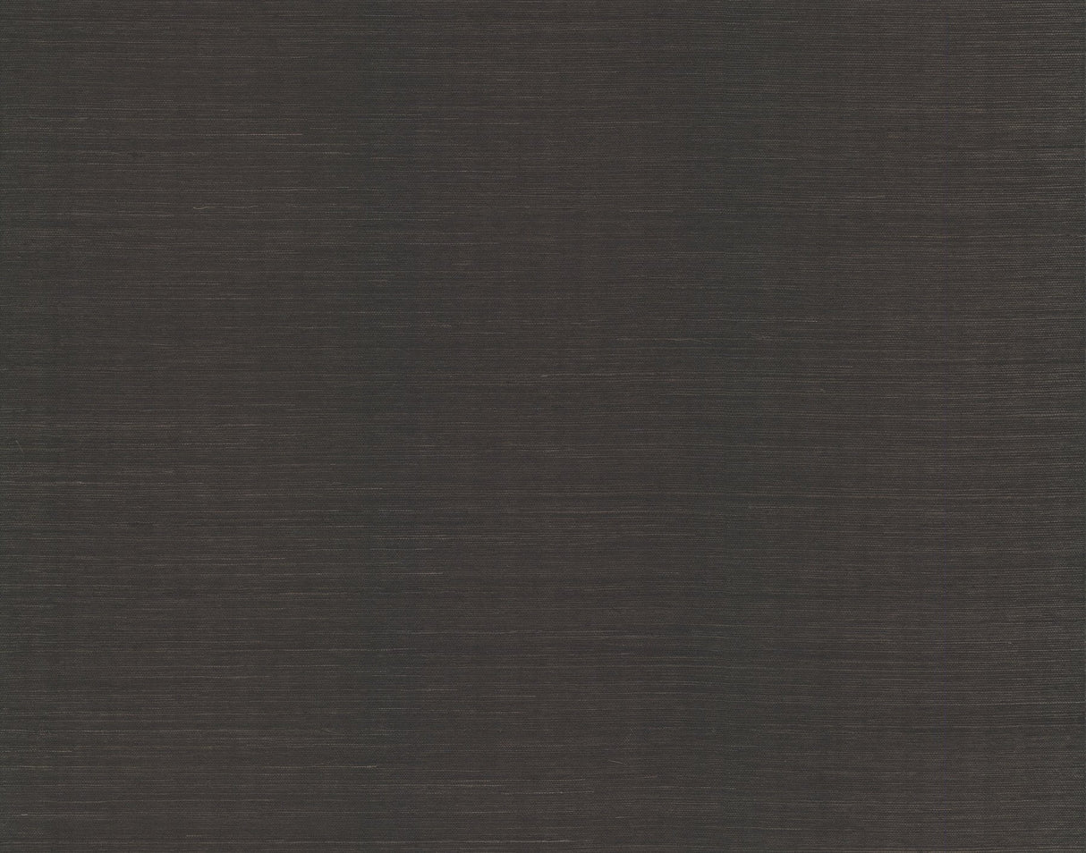 Plain Sisal Grasscloth Black Wallpaper with Natural Woven Texture - York AB2195DL
