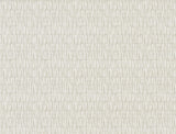 Antonina Vella Thatched Grey sisal grasscloth wallpaper AB3043 sample swatch