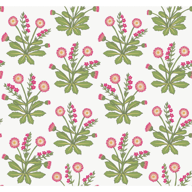 Meadow Flowers White & Rose Wallpaper with Arts and Crafts Floral Pattern - York AC9153