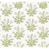 Meadow Flowers White Wallpaper with Arts and Crafts Floral Pattern - York AC9155