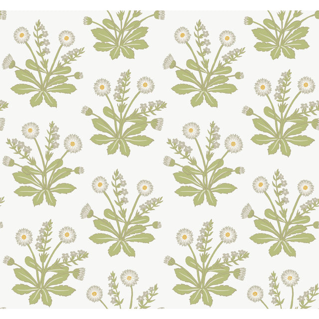 Meadow Flowers White Wallpaper with Arts and Crafts Floral Pattern - York AC9155
