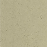 Burnished Patina Beige Wallpaper with Aged Metallic Texture - York AC9213