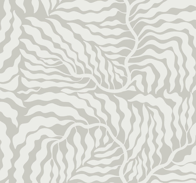 Fern Fronds Grey & White Wallpaper with Modern Botanical Pattern - York AG2064