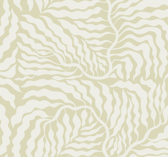 Fern Fronds Light Green & White Wallpaper with Modern Botanical Pattern - York AG2065