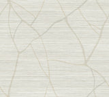 Raska Sand Wallpaper with Modern Faux Grasscloth Textured Pattern - York AG2083