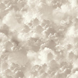 Arthouse Merryweather Neutral Cloudy Skies Wallpaper roll and room scenes