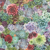 Rhea Multicolor Succulents Wallpaper by Arthouse