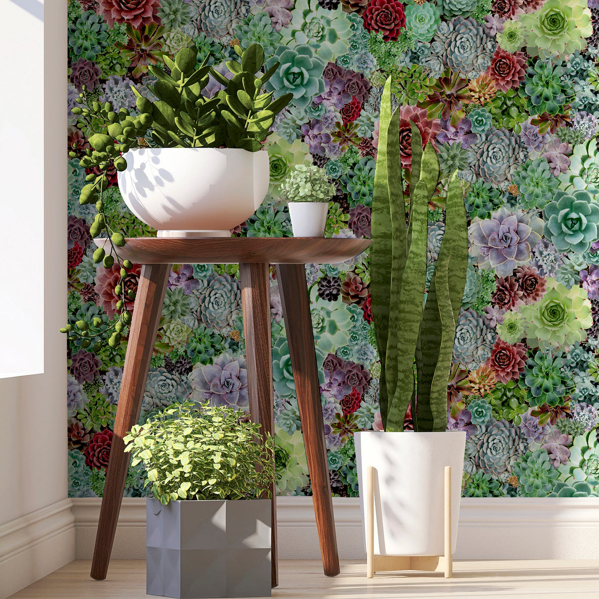 Rhea Multicolor by Arthouse Succulents Wallpaper – Brewster Home Fashions AH259402