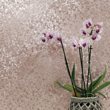 Lois Rose Gold by Arthouse Texture Wallpaper – Brewster Home Fashions AH294300