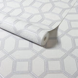Marjorie Silver Trellis by Arthouse Textured Metallic Wallpaper – Brewster Home Fashions AH295603