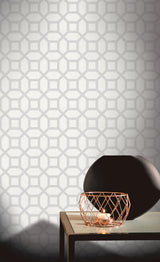 Marjorie Silver Trellis by Arthouse Textured Metallic Wallpaper – Brewster Home Fashions AH295603