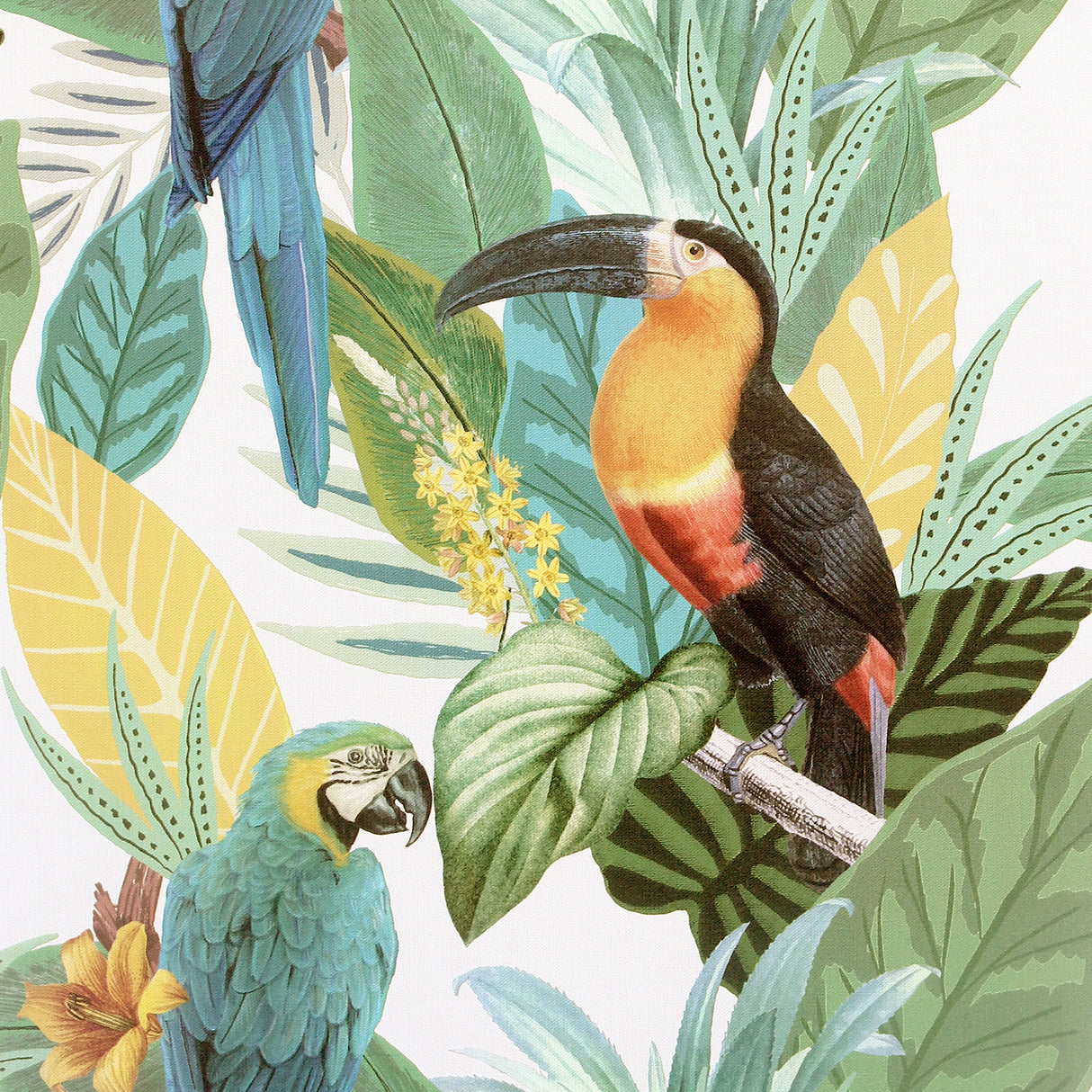 Trudie Multicolor Toucan and Macaw tropical birds wallpaper by Arthouse