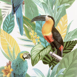 Trudie Multicolor Toucan and Macaw tropical birds wallpaper by Arthouse