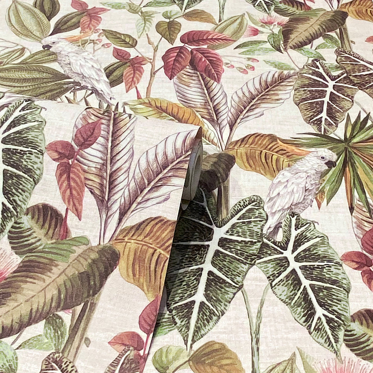 Lorraine Neutral by Arthouse Tropical Wallpaper- Brewster Home Fashions AH296908