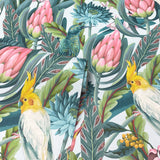Celia Multicolor by Arthouse Tropical Birds Wallpaper – Brewster Home Fashions AH297905