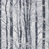 Frosted Silver Winter Grove wallpaper close-up of winter trees in grey and white
