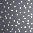 Priscella Charcoal Polka Dot Wallpaper by Arthouse AH685001